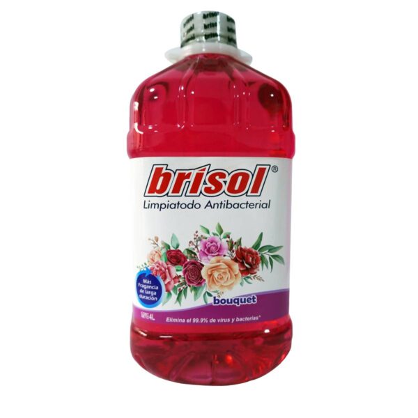 Limpiatodo Antibacterial - Imagen 2